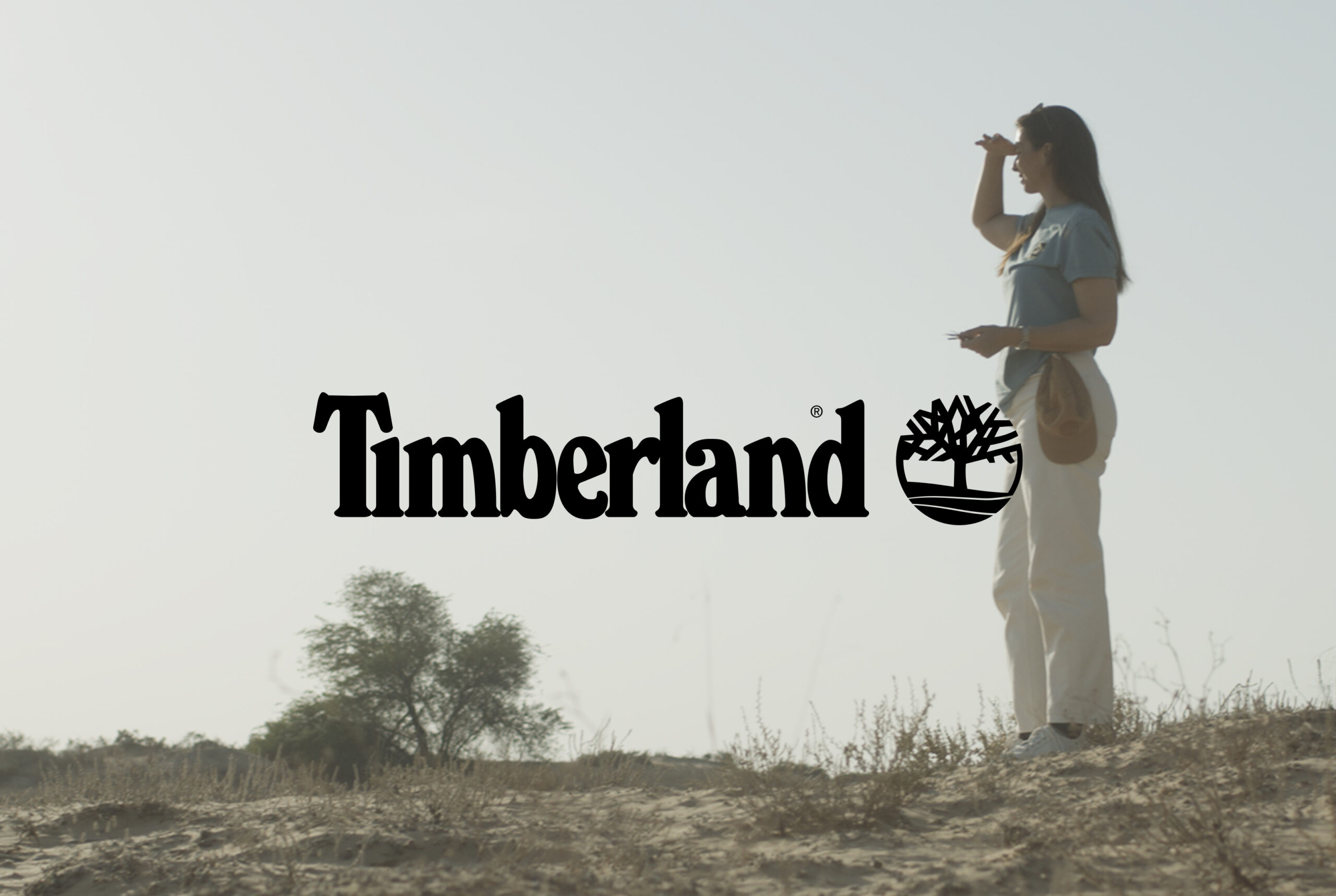 timberland